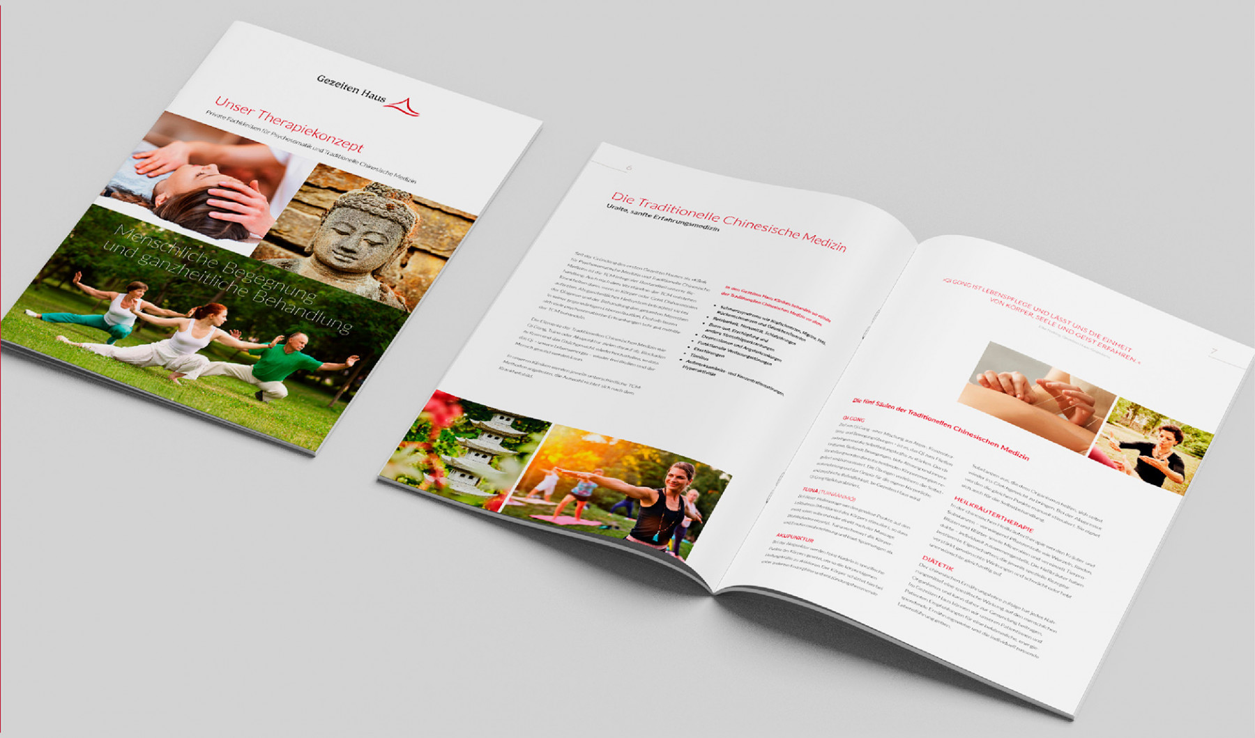 Therapiekonzept des Gezelten Hauses mit Informationen zur Traditionellen Chinesischen Medizin. Darstellung von Behandlungen und ganzheitlichen Ansätzen zur Gesundheit.